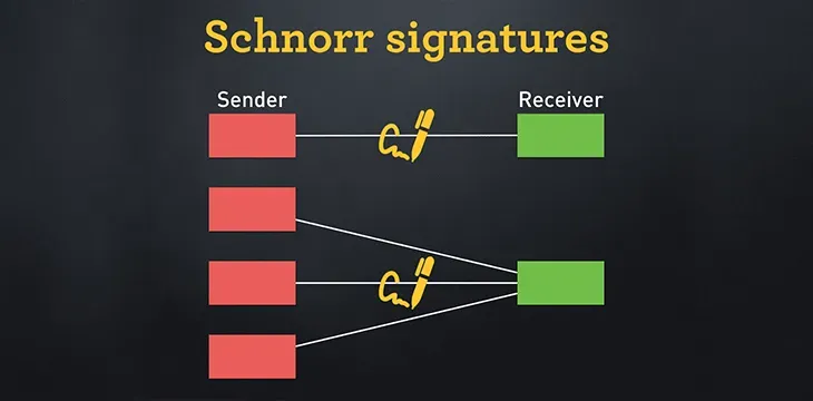 Schnorr and Steady Wins the Race: The Case for Batch Validation